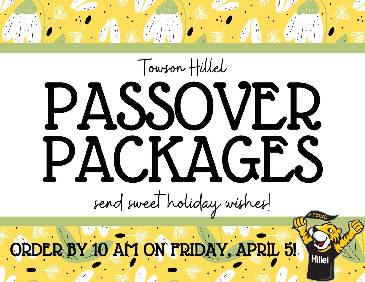 Contact Towson Hillel